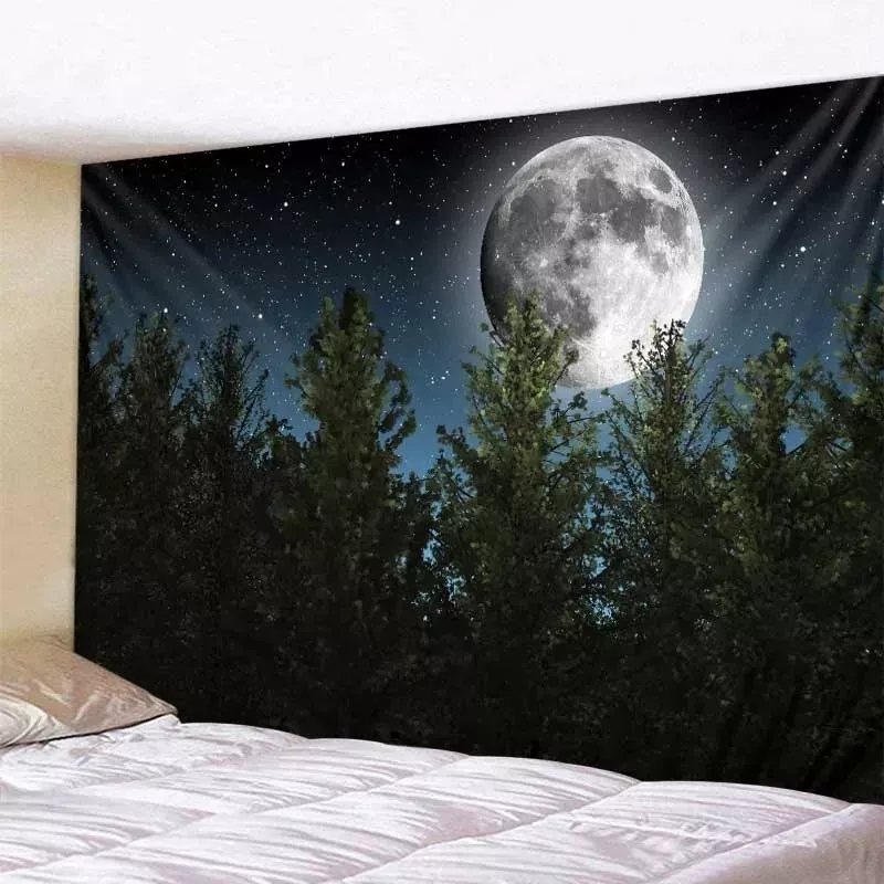 Tenture Murale Nature Plante tropicale nordique ciel palmier